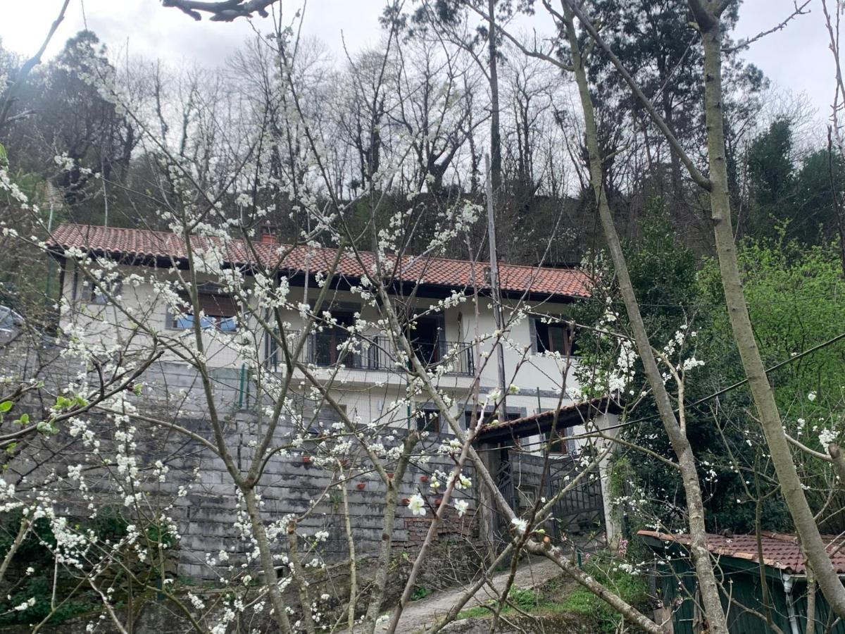 Casa Rural En Santa Cruz-Mieres Bustiello  Exterior foto