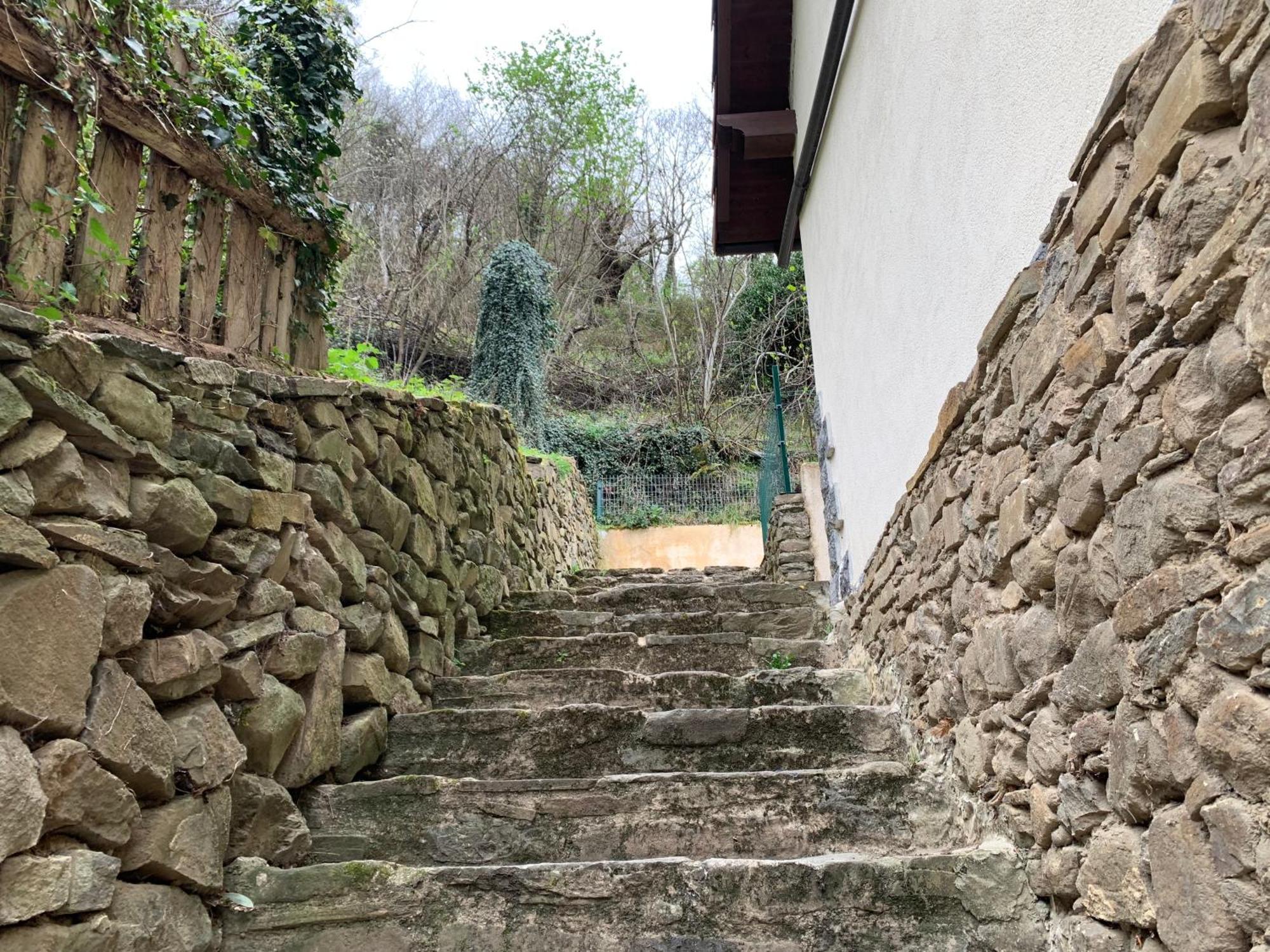 Casa Rural En Santa Cruz-Mieres Bustiello  Exterior foto